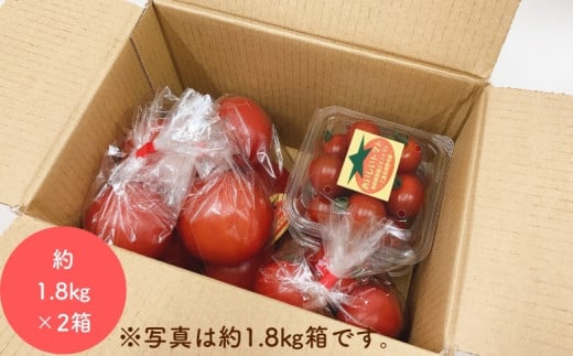 【2027年1月以降配送】熊野薬草園のトマトMIX（1.8kg×2箱） トマト ミックス お楽しみ 熊野 予約受付【kmys0004A】