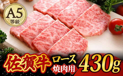 
A5ランク 佐賀牛 高級 霜降り 焼肉用 ロース 430g 2人前 /焼肉どすこい[UCC014] 牛肉 肉 BBQ
