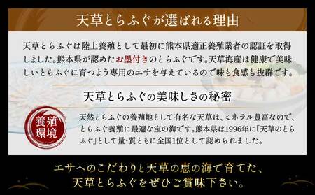 とらふぐ ふぐ 珍味 （旨辛明太和え60g・本皮松前漬け60g）計120g 国産ふぐ 天草とらふぐ 国産とらふぐ 最高級ふぐ