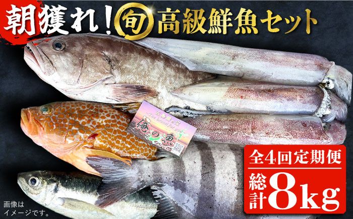 
【全4回定期便】【五島列島・直送】朝獲れ！高級鮮魚セット2kg 五島市 / 鯛福丸水産 [PDP005]
