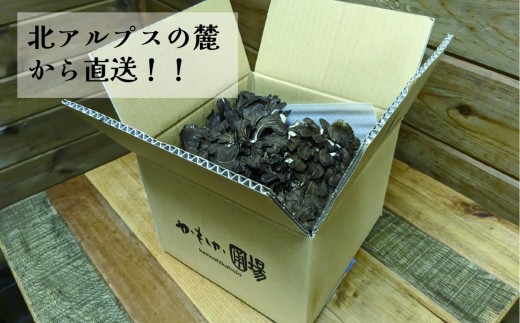 【先行予約】原木まいたけ 1㎏