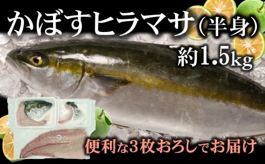
            【期間限定】爽やかな味わい！「うすき産かぼすヒラマサ」約1.5kg（半身）
          