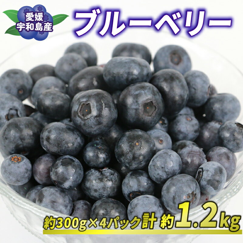 【ふるさと納税】 ブルーベリー 300g × 4パック 計 約1.2kg 吉田農園 先行予約 ポット栽培 大粒 小分け パック 生 ベリー 果物 フルーツ デザート スイーツ ポリフェノール 抗酸化作用果物 フルーツ 冷蔵 農家直送 産地直送 数量限定 国産 愛媛 宇和島 F012-160002
