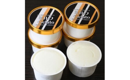 プレミアムジェラート ミルク 100ml×12個_V7130
