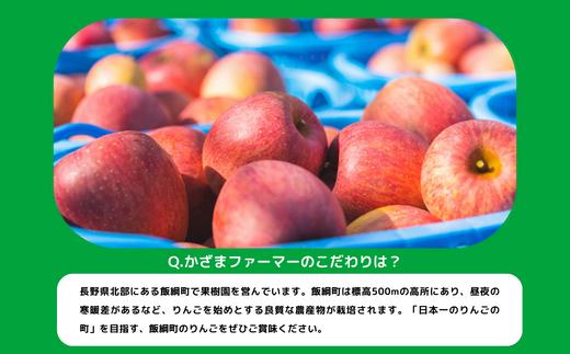 りんご 葉とらず サンふじ 訳あり 10kg かざまファーマー 沖縄県への配送不可 2024年11月中旬頃から2025年3月中旬頃まで順次発送予定 令和6年度収穫分 傷 不揃い リンゴ 林檎 果物 フ