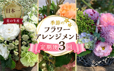 【定期便】 3回 季節のフラワーアレンジメント定期便 かご付 生花