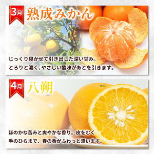 フルーツ定期便 12ヶ月 定期