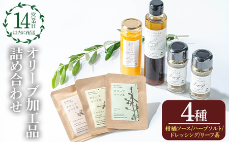 No.1271 日置市産オリーブ加工品詰め合わせセット！(計4種) オリーブ＆柑橘ソース オリーブハーブソルト オリーブドレッシング オリーブリーフ茶 オリーブ セット 料理 調味料 詰め合わせ 詰合せ 箱入り ギフト 贈答 プレゼント【鹿児島オリーブ】