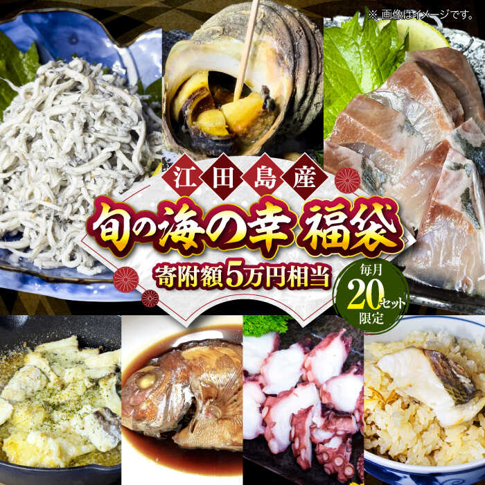 【ふるさと納税】【何が届くかお楽しみ】旬の海の幸 福袋 寄附額 5万円相当 海鮮 魚介類 冷凍 水産加工品 海藻 鮮魚 さかな 刺身 詰め合わせ セット 小分け 料理 和食 時短 便利 ギフト 広島県産 人気 送料無料 江田島市/七宝丸[XBY008] 【7日以内発送】