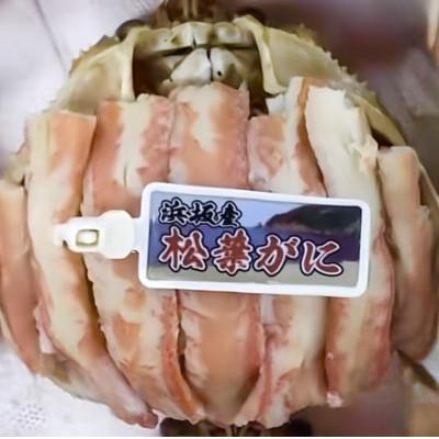 ふるさと納税 京丹後市 松葉ガニ　甲羅盛　L