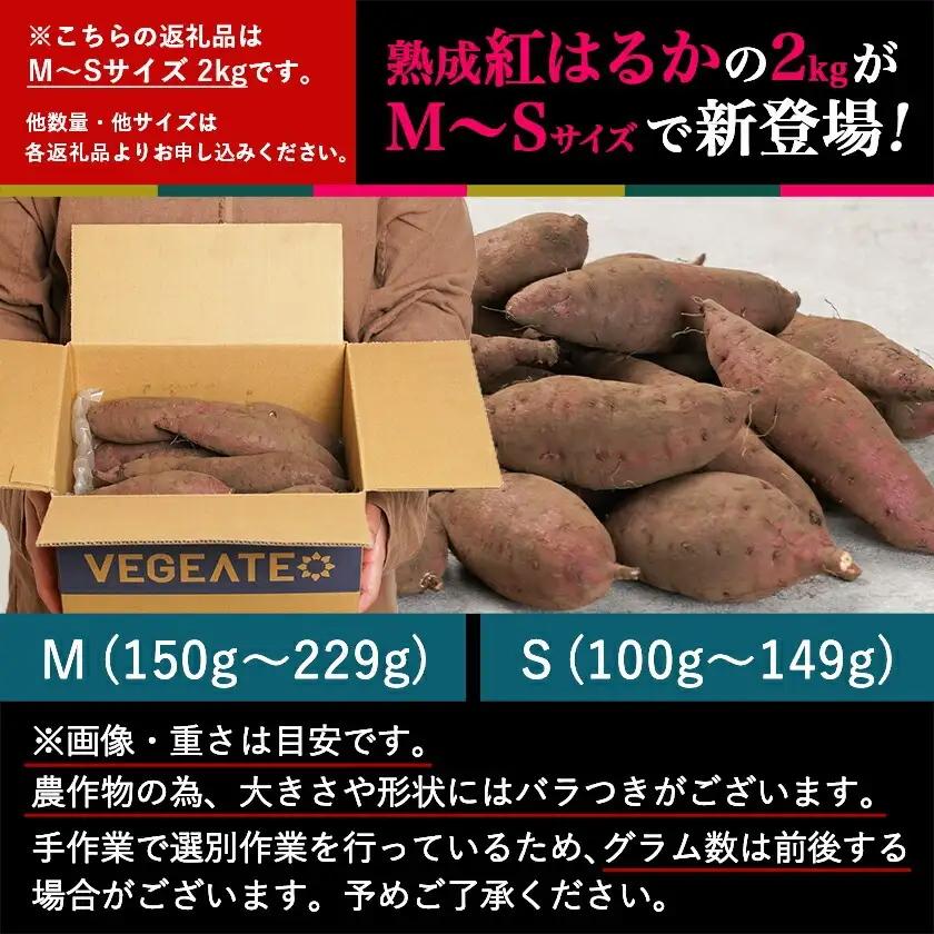 島津甘藷　熟成紅はるか 2kg(M～S)_LB-A7-001-2kg_(都城市) さつまいも 幻のサツマイモ 幻の品種 紅はるか 2kg M～S べにはるか 生芋 ベジエイト 熟成 芋 定番 焼き芋 