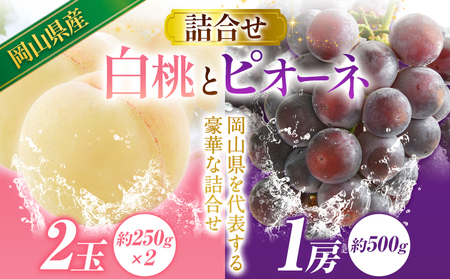 白桃とピオーネの詰合せ 約1kg 桃 ピオーネ