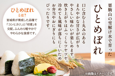 《定期便3回》 【白米】令和7年産 宮城県栗原市 厳選米 ひとめぼれ 30kg（5kg×6袋）