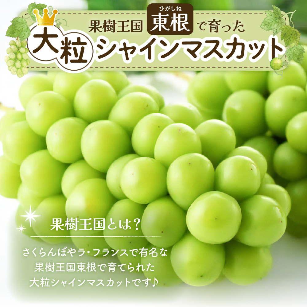【2026年先行予約 2回 定期便】東根市 果物定期便 もも シャインマスカット（白桃品種お任せ3kg、シャインマスカット2房）山形県 東根市 hi003-159_イメージ3