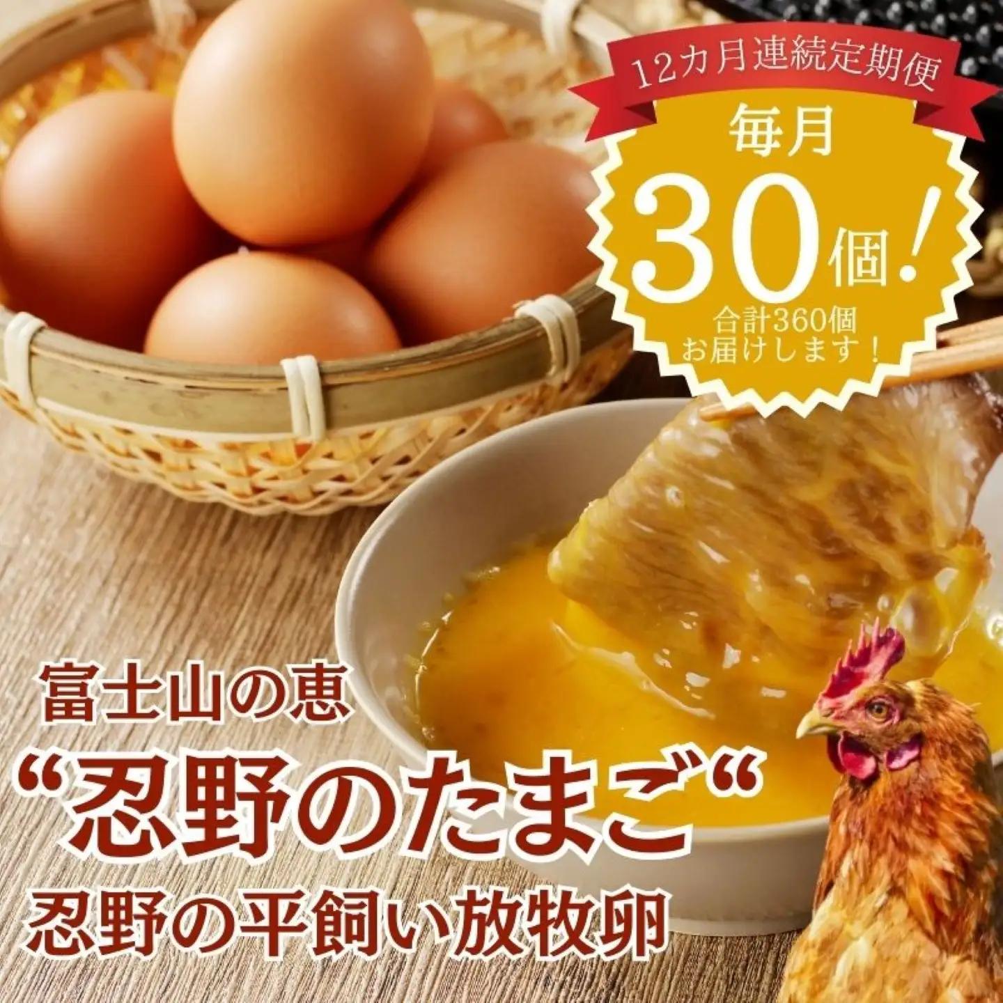 【定期便】忍野の平飼い放牧卵　12か月連続定期便（毎月30個×12か月　合計360個）|たまご 卵かけご飯 たまご タマゴ 健康 玉子