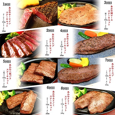 【毎月定期便】あか牛ステーキ12種 食べ比べ(阿蘇市)全12回【配送不可地域：離島】【4004301】