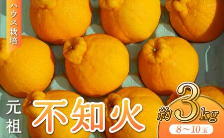 【先行予約】 不知火 ハウス栽培 元祖不知火 約3kg 【2026年3月上旬-2026年4月下旬発送予定】
