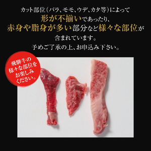 訳あり 飛騨牛 焼肉 切り落とし 600g 冷凍真空パック | 肉 お肉 切落し 不揃い 焼肉 焼き肉 やきにく 黒毛和牛 和牛 人気 おすすめ 牛肉 ギフト お取り寄せ 7日以内お届け[S842]