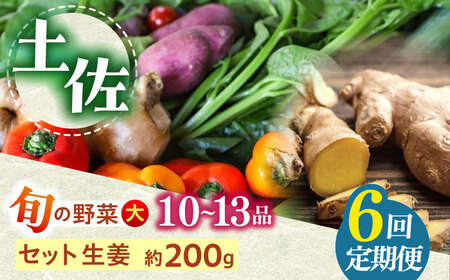 【6回定期便】 土佐の太陽をいっぱいに浴びた旬の野菜と生姜約100gのセット「大」 (6回配送)【土佐野菜】 [ATBA015]