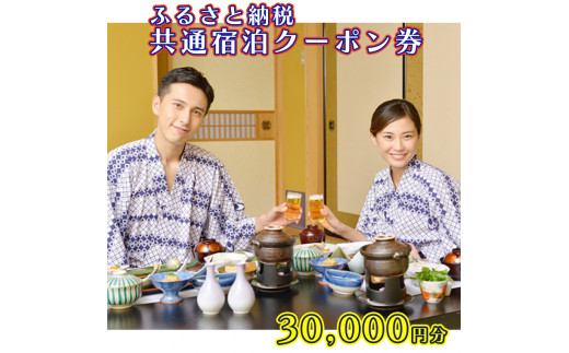 
大洗町 共通 宿泊 クーポン 30,000円分（3,000円×10枚） 関東 茨城
