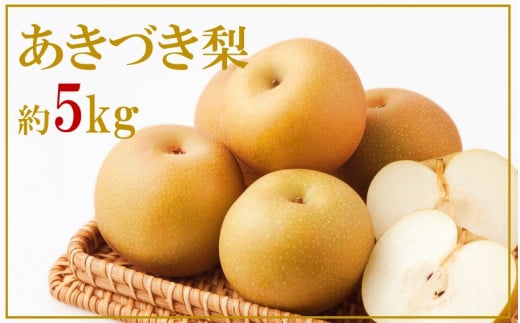 【先行予約】令和7年発送/数量限定！矢野果樹園の梨『あきづき』5kg_2061R