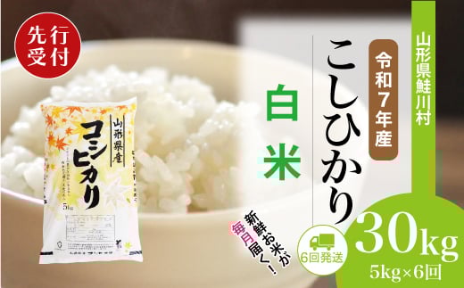 
            ＜令和7年産米先行受付＞ 鮭川村 コシヒカリ 【白米】 定期便 30kg （5kg×1ヶ月間隔で6回お届け）＜配送時期選べます＞
          