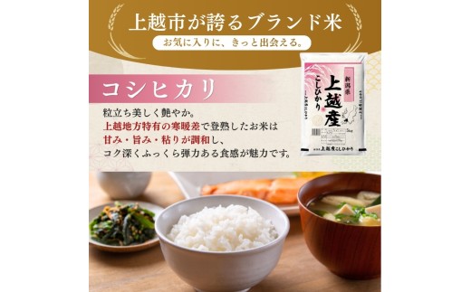 【11月上旬より配送】 コシヒカリ 4kg  6か月定期便 新潟県 上越市産 令和8年産 お米 精米 米 ご飯 送料無料