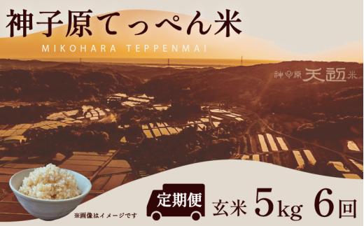 定期便 数量限定 こしひかり 玄米 5kg 6回 神子原 てっぺん米 計 30kg 令和7年産 こだわり もっちり 甘み 食味ランクS 最高評価 genmai gennmai ※ ご飯 ごはん R7 2025年産 おいしい 美味しい 神子原てっぺん米 神子原頂上米 石川県 石川 能登 羽咋 支援 応援 復興応援 復興支援 お米 米 おこめ こめ kome okome ふるさと納税米 