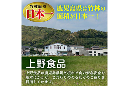 国産味付タケノコキムチ(100g×10パック) 国産 筍 辛味 ピリ辛 焼肉 おかず おつまみ キムチ メンマ めんま お試し 常温保存【上野食品】akn008-05