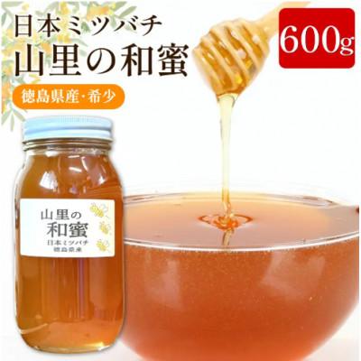ふるさと納税 三好市 《600g》山里の和蜜(百花蜜)|日本みつばち