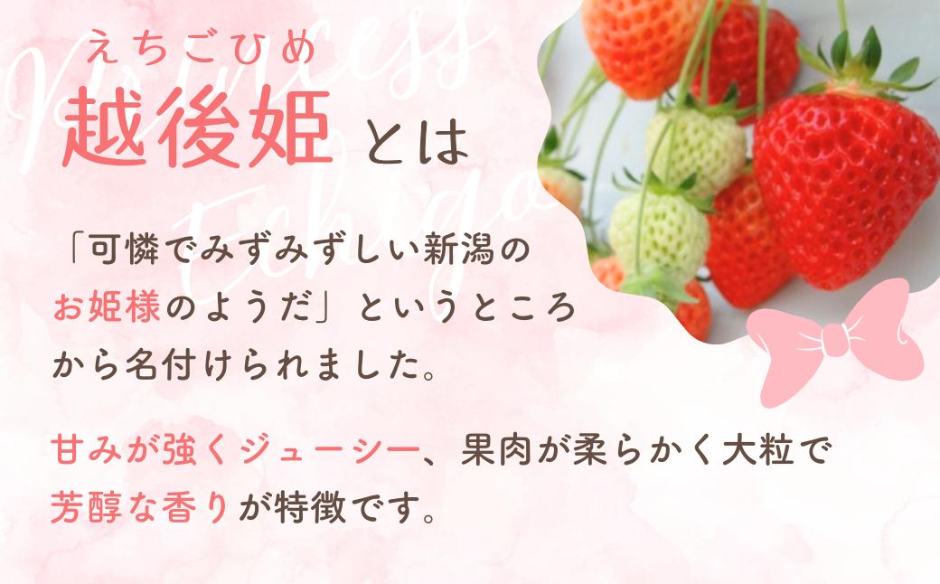 【越後姫 いちご】いちご 800g（400g×2パック） 国産 減農薬栽培 苺 イチゴ ブランドいちご フルーツ 果物 新潟県産 出雲崎町