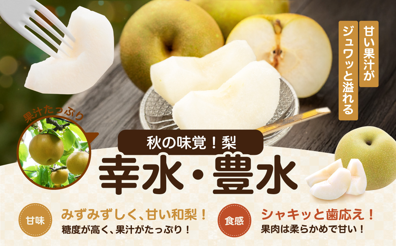 南信州産 幸水 または 豊水 秀品 約5kg 8～16玉 <2026年9月上旬～順次発送> ＪＡみなみ信州ＤＭセンター飯田市