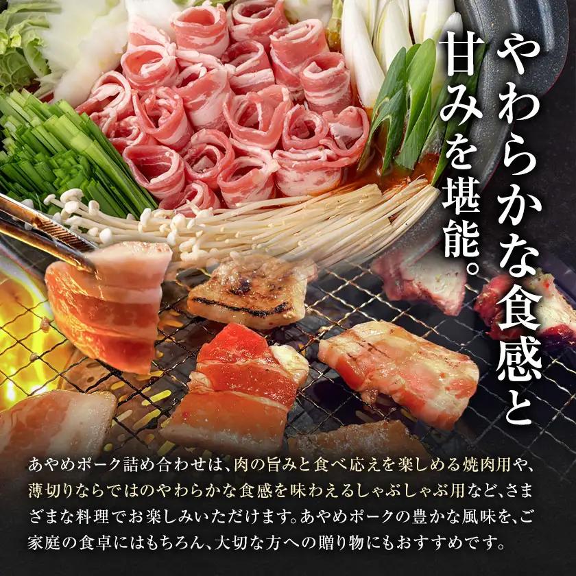 あやめポーク 詰め合わせ 計1.5kg 肉のハヤシ 豚肉 