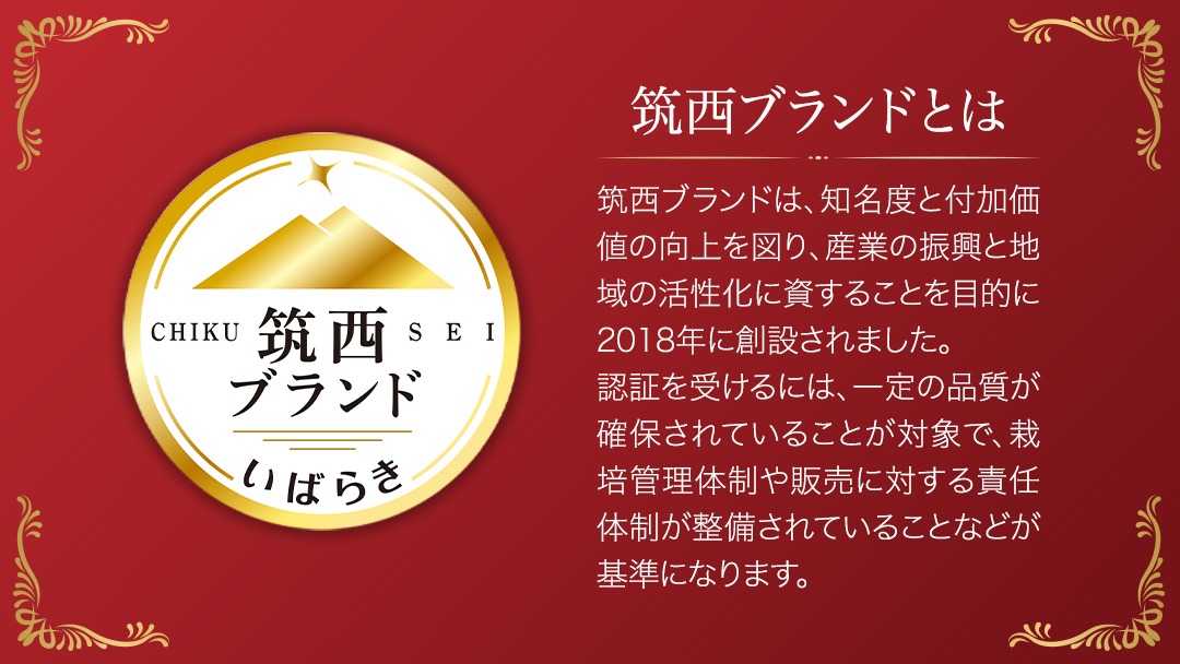 超大玉 スーパーフルーツトマト 大箱 約2.8kg × 1箱 【14～18玉/1箱】 野菜ソムリエサミット 金賞 糖度9度 以上 野菜 フルーツトマト フルーツ トマト とまと [AF007ci]