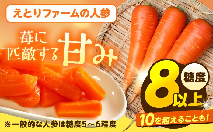 北海道産 甘い 人参 野菜 根菜 ニンジン 糖度高め サラダ 規格外 訳あり 