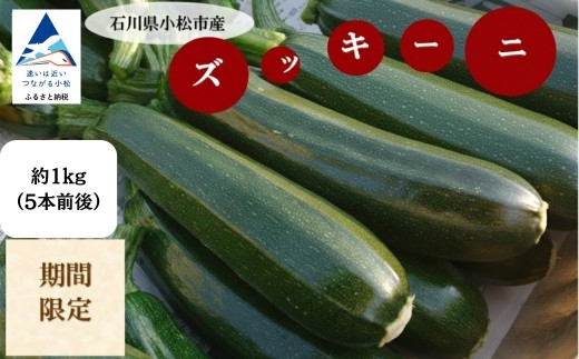 ズッキーニ 約1kg (5本前後) ずっきーに 小松市産 | 石川県 小松市 JAあぐり
