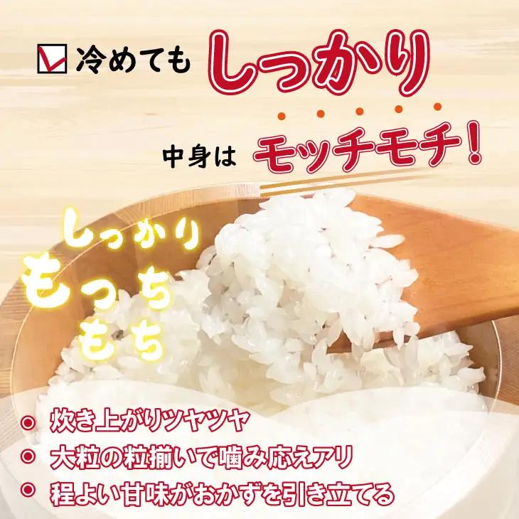 令和7年度産  特別栽培米「さがびより」北川農産（10kg）米 さがびより C280-008