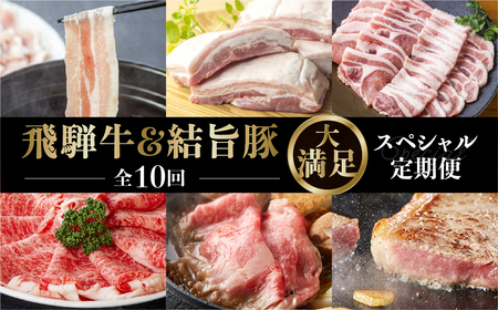 《定期便10回》飛騨牛＆結旨豚　食べきりタイプ スペシャル定期便 10か月 1年間 焼肉 サーロイン ロース モモ すき焼き しゃぶしゃぶ 牛肉 豚肉 国産 焼き肉 赤身 豚肉 バラ ブランド豚 だるまミート 岐阜県 白川村 贅沢 冷凍 145000円 [S409]