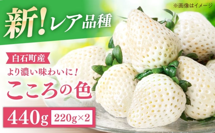 
            【R8年1月以降発送】【幻の白いちご】 こころの色 220g×2パック 【StrawberryFarm-K】 [IBJ010] [IBJ010]
          