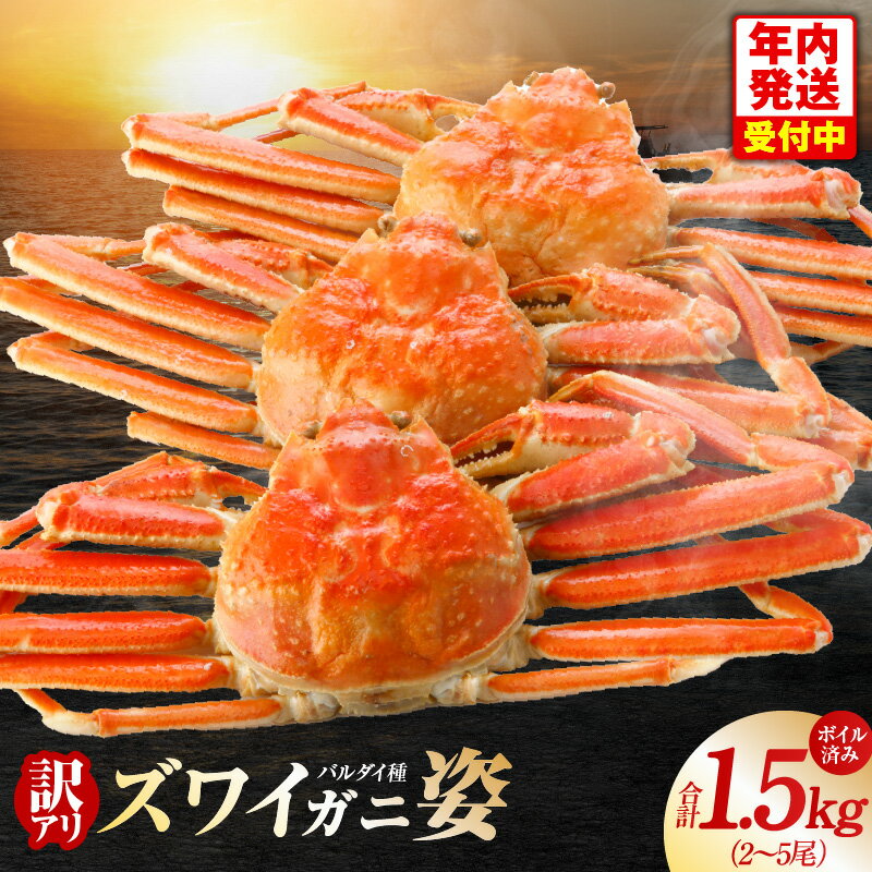 【ふるさと納税】【訳あり】 バルダイ種 ズワイガニ姿 1.5kg 2～5尾 ボイル済み オオズワイガニ カニ ズワイガニ ファミリー向け 昆布熟成 冷凍 本格海鮮 濃厚 カニみそ ごちそう おつまみ かに鍋 カニ雑炊 甲羅焼き 年内発送 お取り寄せ グルメ 大阪府 泉佐野市 送料無料