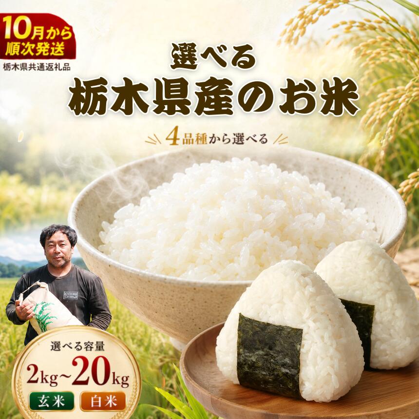【ふるさと納税】お米 コシヒカリ とちぎの星 ミルキークイーン ゆうだい【2026年 先行予約】 | 食べ比べ 選べる 容量 銘柄 玄米 米 お米 こめ 2kg 5kg 10kg 20kg | 白米 ごはん 栃木県 下野市 送料無料