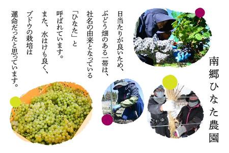 南郷ひなた農園 日本ワイン ピアソルテ シャルドネ2023 750ml × 1本 青森県 八戸市