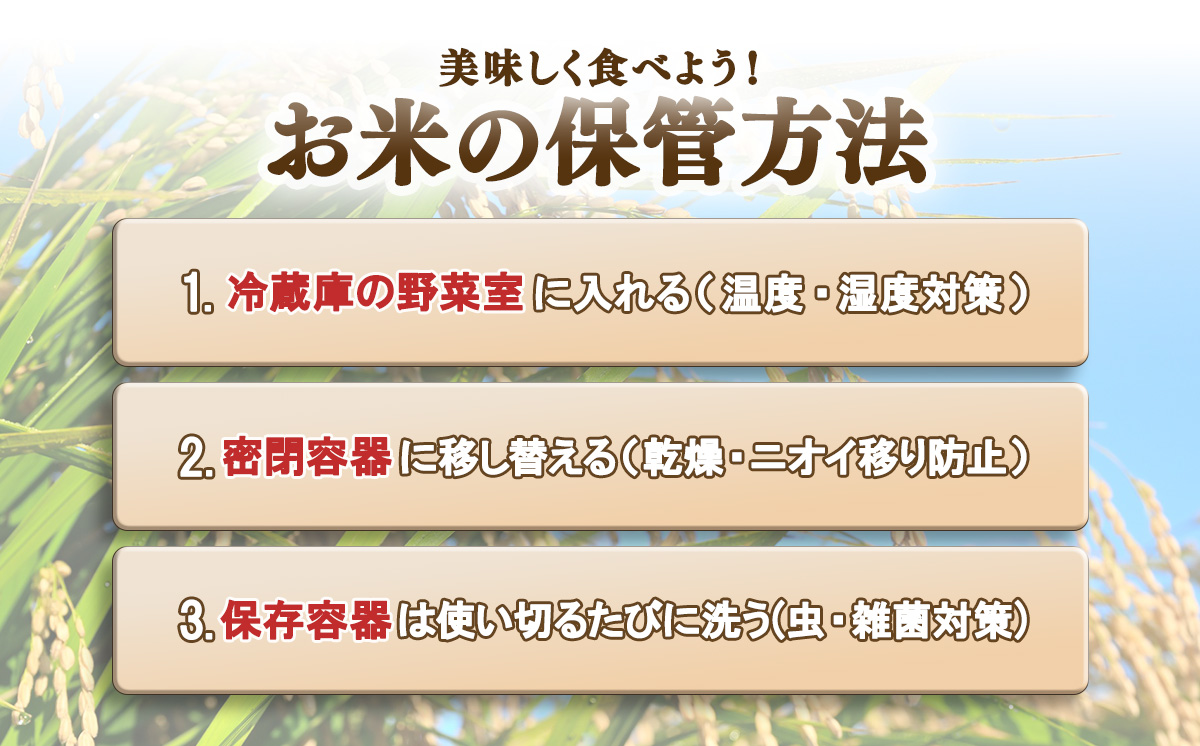 令和7年産 市左衛門農場コシヒカリ10kg (玄米)【 米 こめ こしひかり コシヒカリ ご飯 玄米 10kg 令和7年産 茨城県 つくば市 】