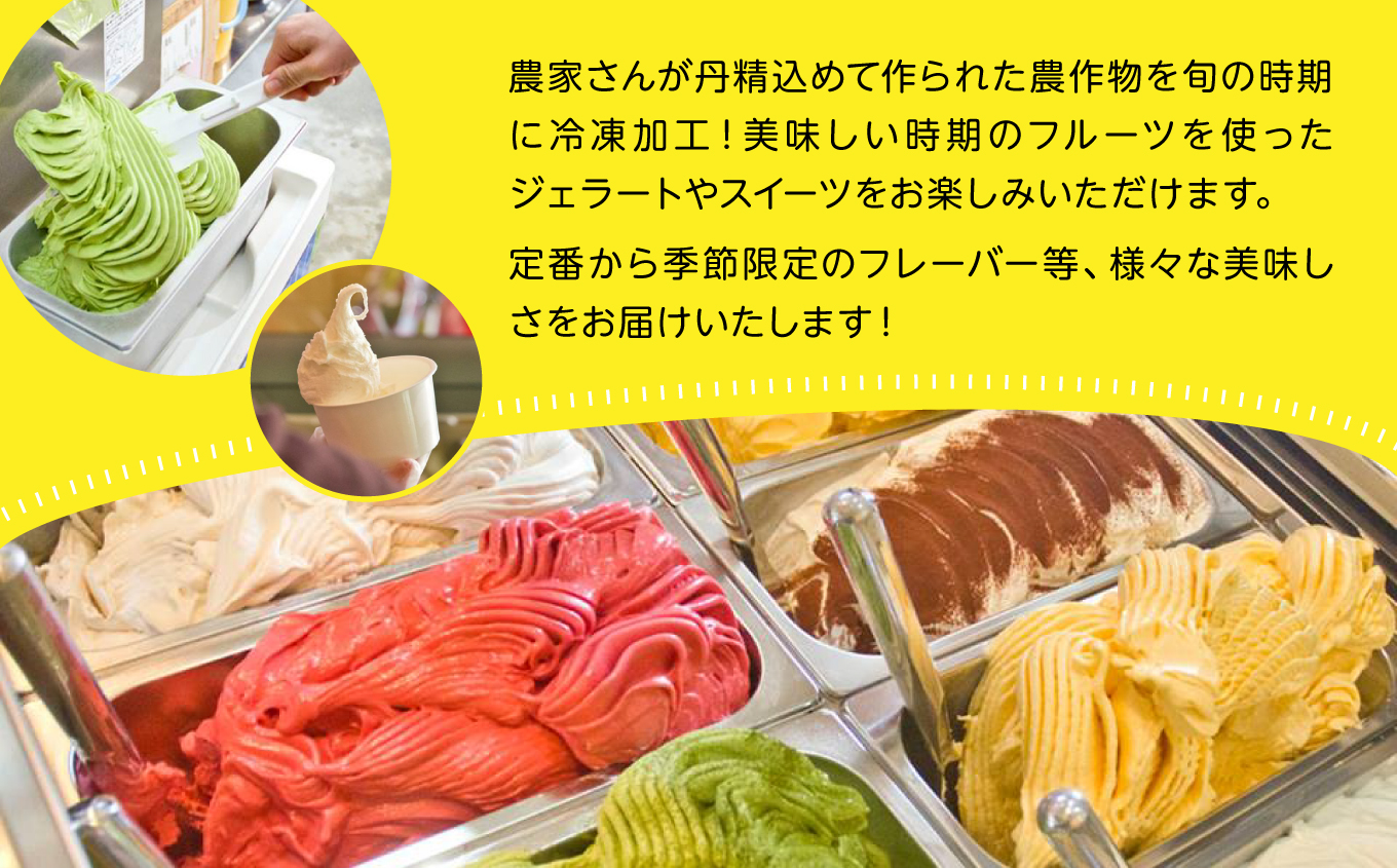 恵みジェラート12個セット【種子島ジェラートＨＯＰＥ】