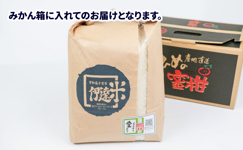 新米 特別栽培 コシヒカリ 5kg 令和7年度産 先行予約 伊達米 グローバルGAP取得 ワールドファーマーズ お米 米 ごはん ブランド米 特別栽培米 美味しい お弁当 弁当 おにぎり ふっくら ツ
