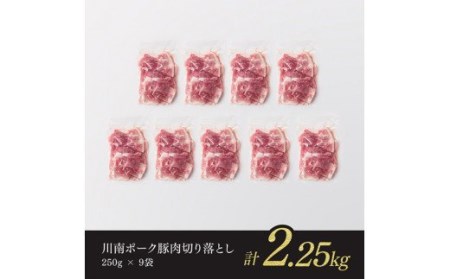 川南ポーク豚肉切り落とし2.25kg（250g×9袋）【 豚肉 豚 肉 切落し 九州産豚肉 国産豚肉 宮崎県産豚肉 豚肉切り落し 】