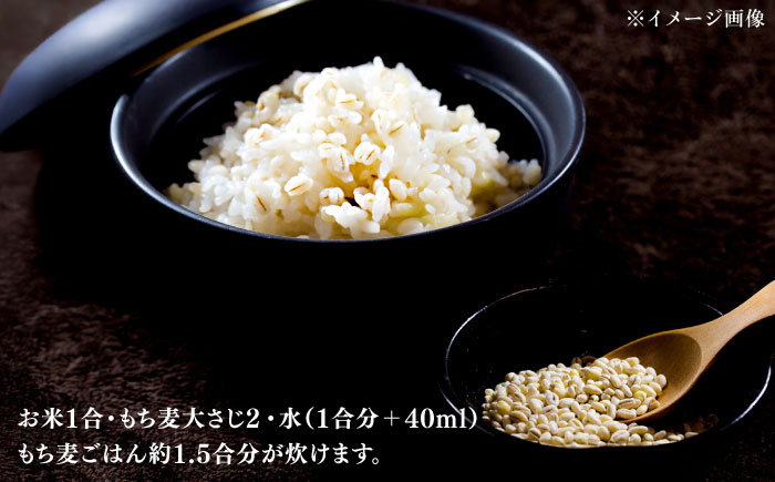 佐賀県産 もち麦500g / お米 / 佐賀県 / 一般社団法人龍乃 [41ANAC105]