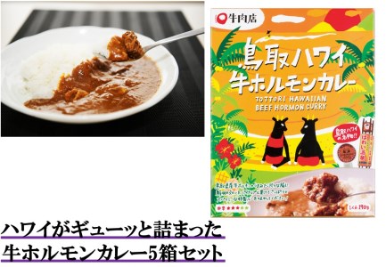 165J.ハワイがギューッと詰まった牛ホルモンカレー5箱セット