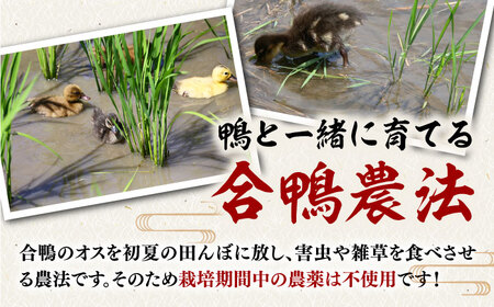 [栽培期間中 農薬不使用 ]【令和6年産 】古野農場の 合鴨農法 で作った「 合鴨米 （ 玄米 ） ４kg」  桂川町/合鴨家族 古野農場 [ADAL011]  合鴨米 米  白米 お米 無農薬米 支