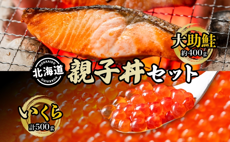 大助といくらの親子丼セット(甘塩大助切身1切 約100g×4切、いくら醤油漬け250g×2個) 鮭 サーモン 魚貝類 魚卵 加工食品 